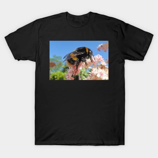 Bee - A Buzzing Thing T-Shirt by AH64D